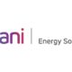 Adani Enterprises Qip Investors