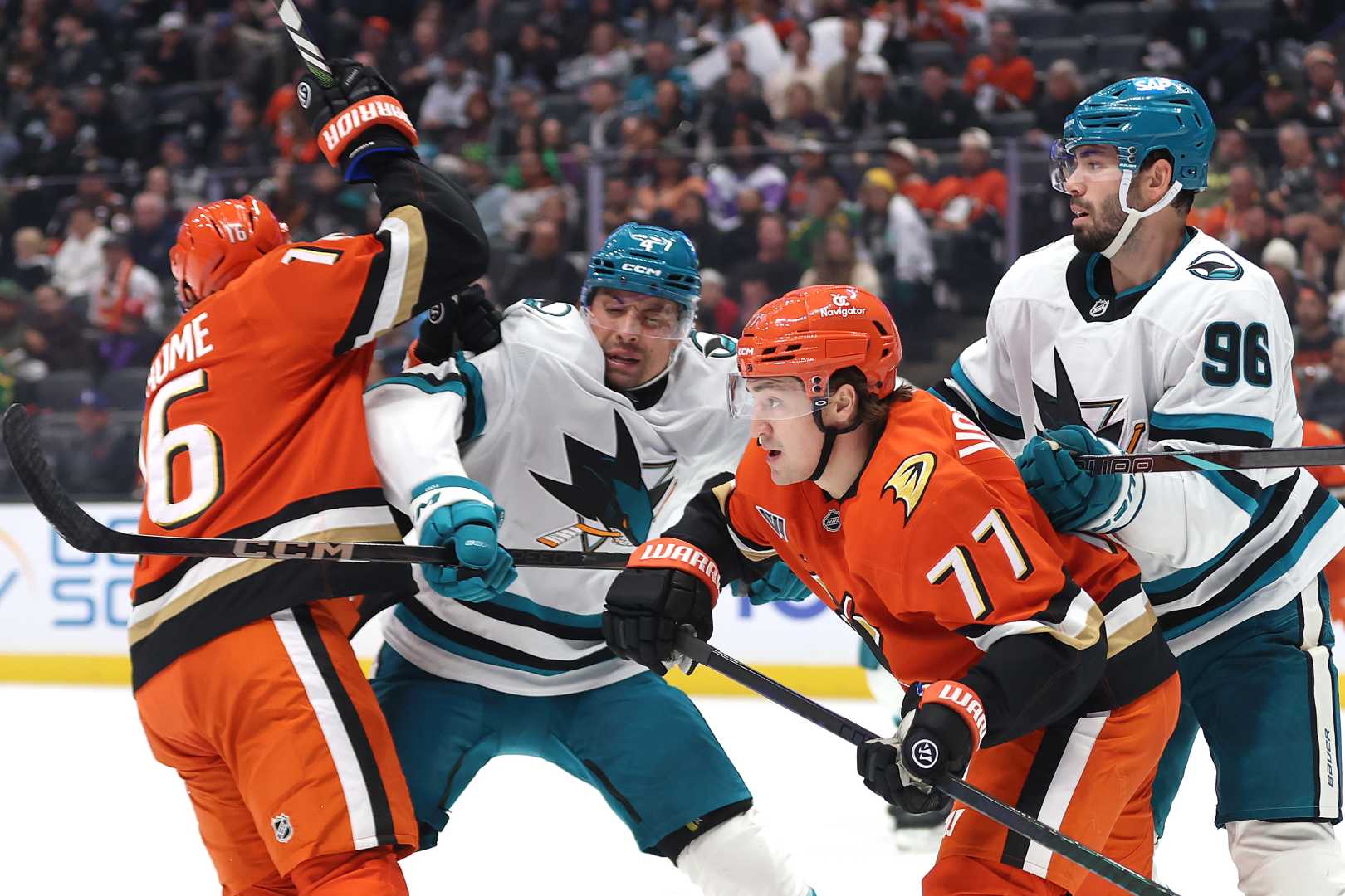 Anaheim Ducks Vs San Jose Sharks Hockey Game