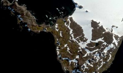 Antarctica Greening Satellite Images