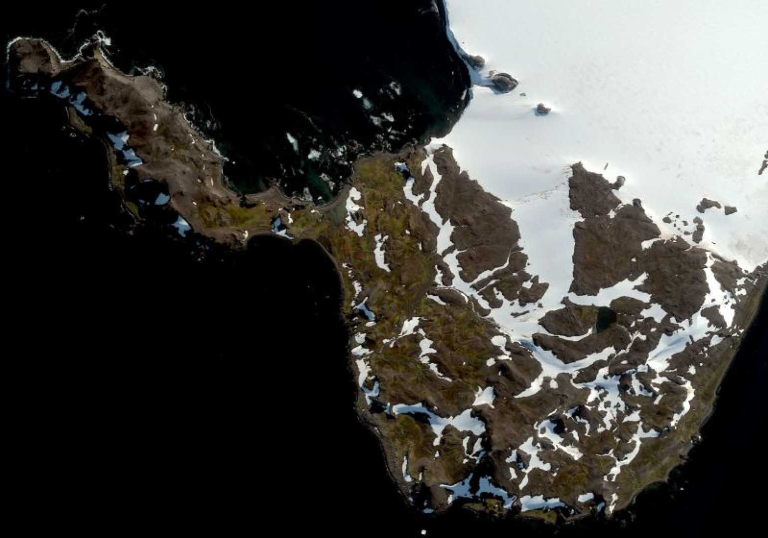 Antarctica Greening Satellite Images