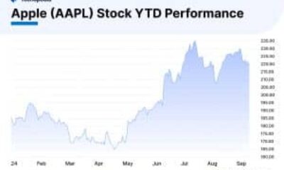 Apple Stock Performance October 2024