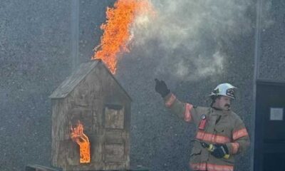 Arkansas Forest Fire