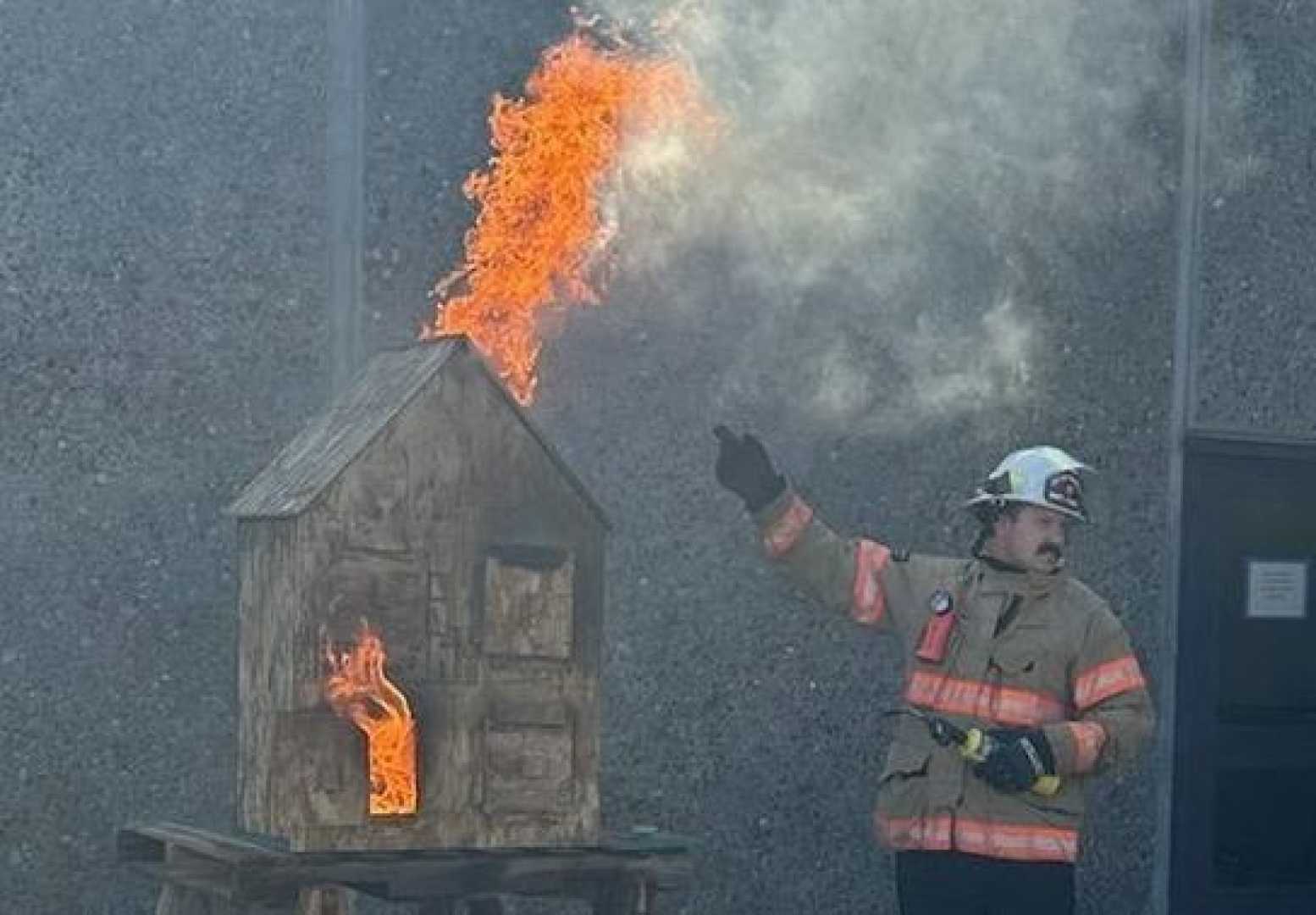 Arkansas Forest Fire