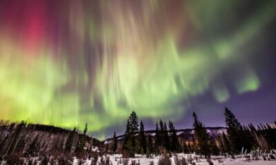 Aurora Borealis Regina Saskatchewan October 2024