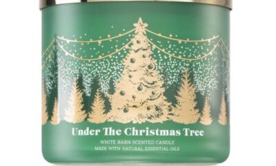 Bath & Body Works New Seasonal Candles