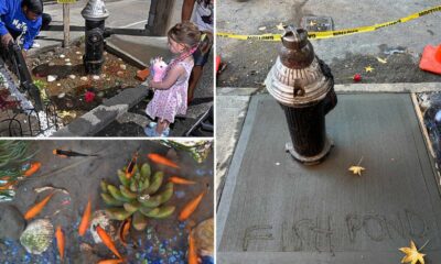 Bed Stuy Aquarium Brooklyn Fire Hydrant Cement