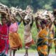 Bishnoi Community In Rajasthan