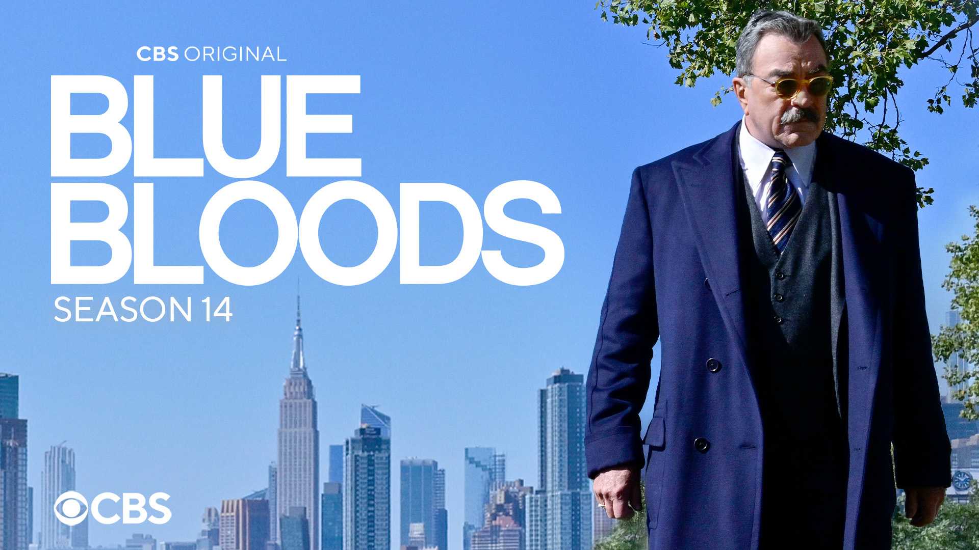 Blue Bloods Final Season