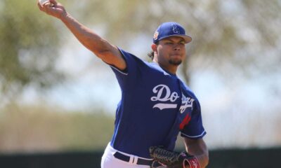 Brusdar Graterol Pitching In World Series 2024