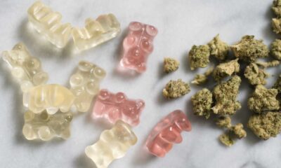 Cannabis Gummies School