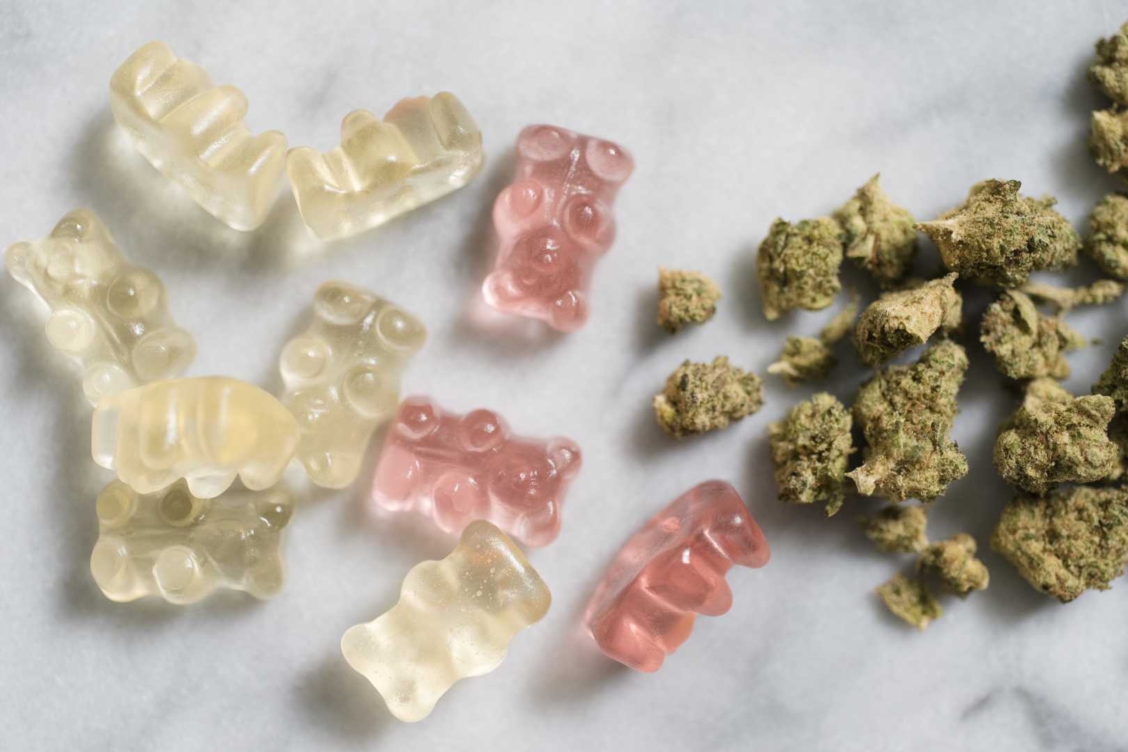 Cannabis Gummies School