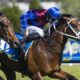 Caulfield Cup 2024 Field