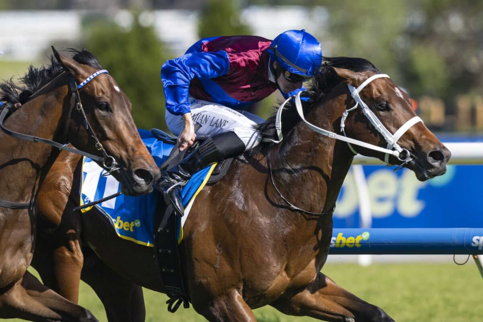 Caulfield Cup 2024 Field