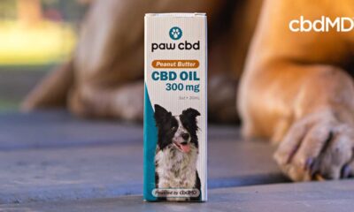 Cbd Oil For Dogs