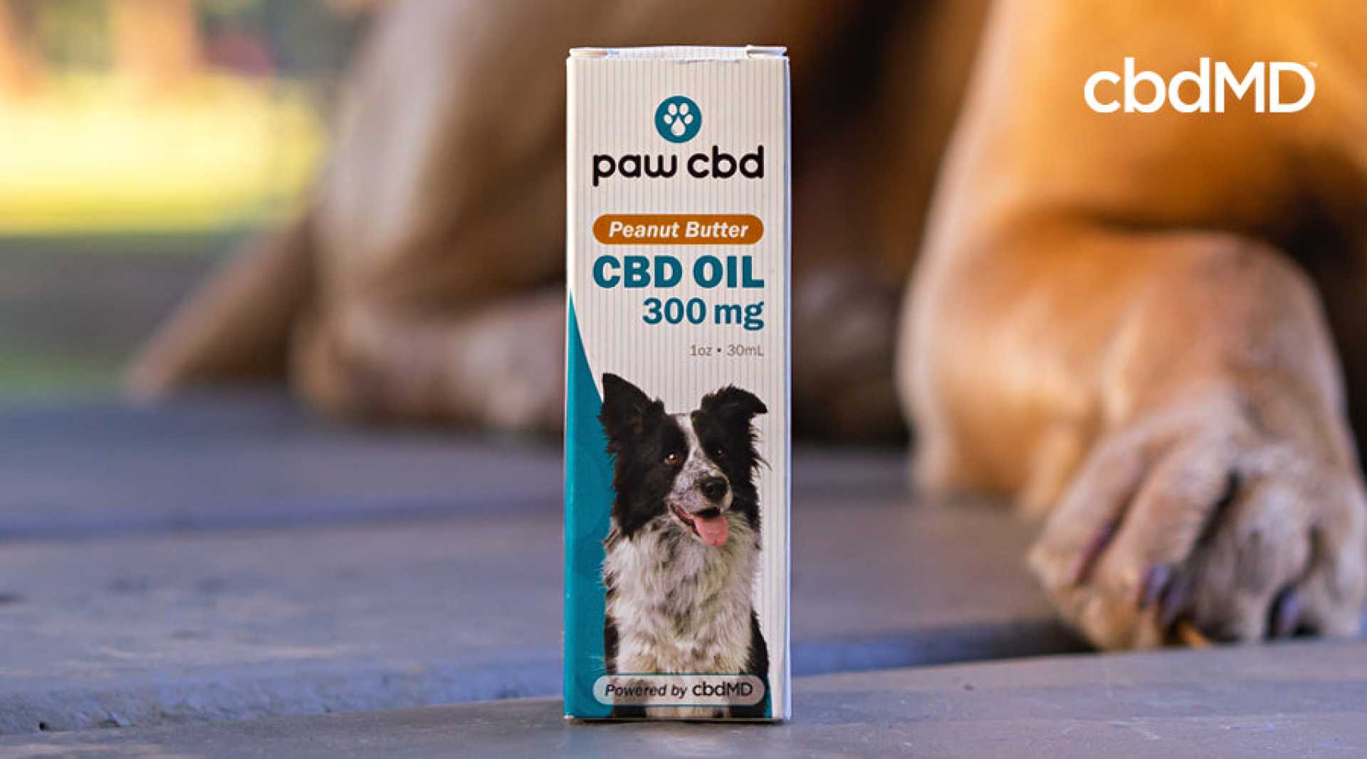 Cbd Oil For Dogs