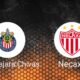 Chivas Guadalajara Vs Necaxa Liga Mx Match