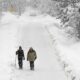 Colorado San Juan Mountains Snowstorm