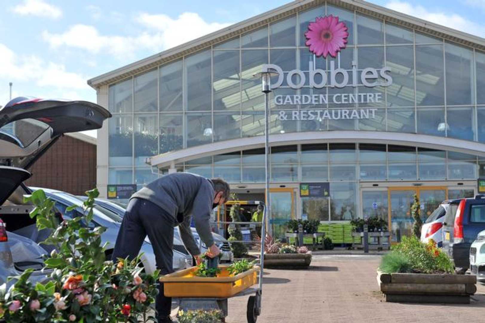 Dobbies Garden Centre Closures