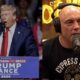 Donald Trump Joe Rogan Podcast Interview