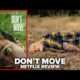 Don't Move Netflix Movie Poster