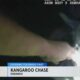 Durango Police Chasing Kangaroo