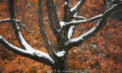 Early Snowfall Western United States