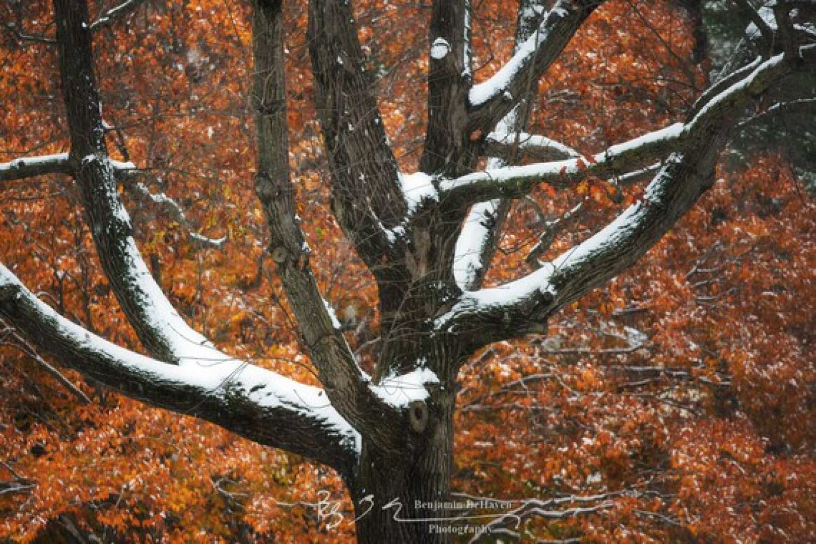 Early Snowfall Western United States