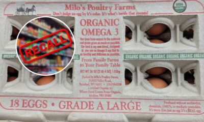 Egg Recall Salmonella