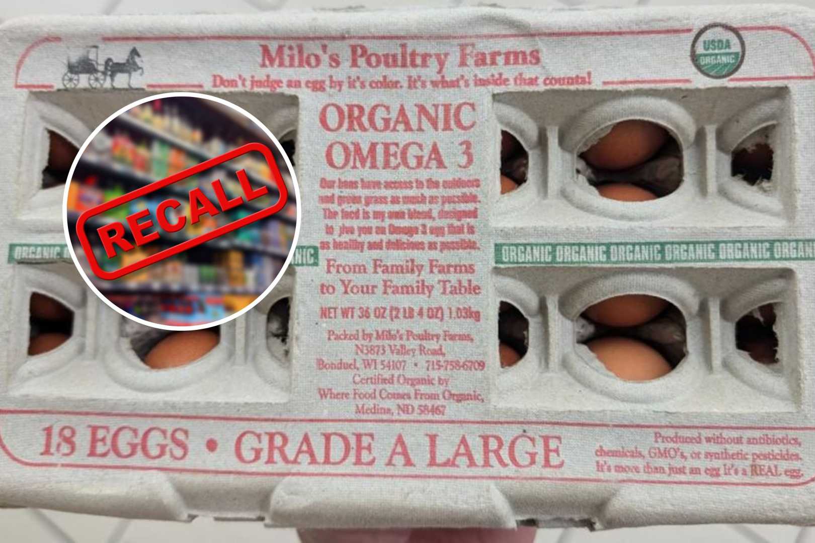 Egg Recall Salmonella