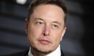 Elon Musk Dogecoin Tweet