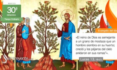 Evangelio De San Lucas 13,18 21 Y Reflexión