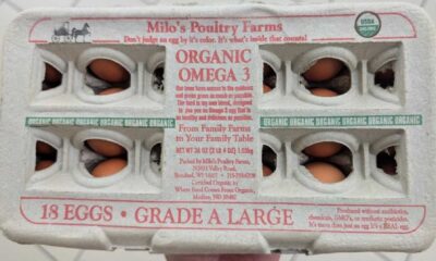 Fda Egg Recall 2024 Salmonella