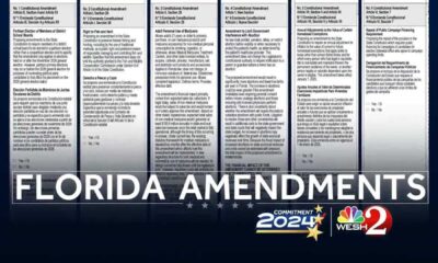 Florida 2024 Constitutional Amendments Ballot