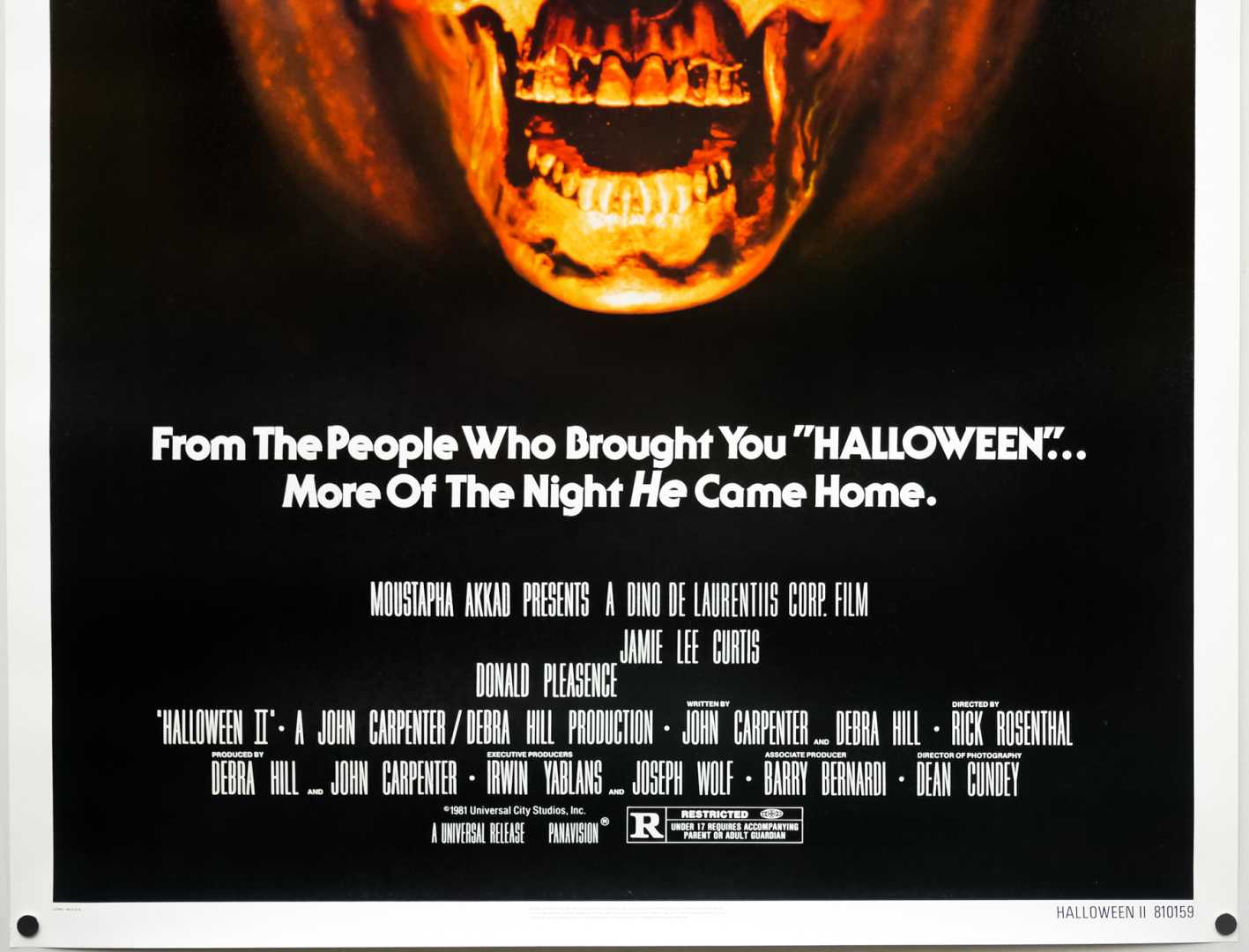 Halloween 2 Movie Posters And Scenes