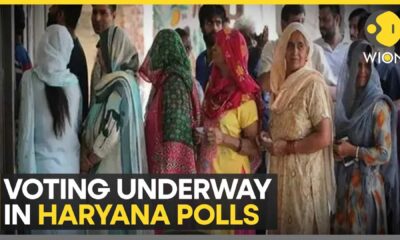 Haryana Assembly Elections 2024 Polling