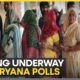 Haryana Assembly Elections 2024 Polling