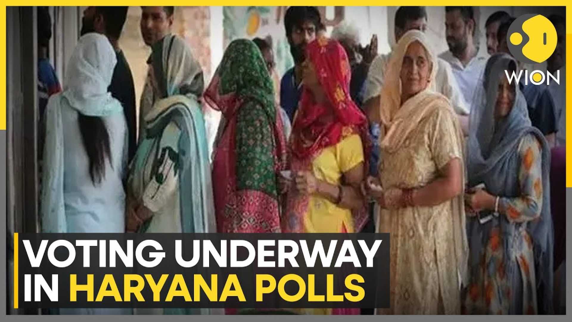 Haryana Assembly Elections 2024 Polling