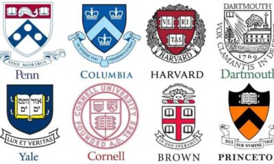 Ivy League Universities Admissions Process