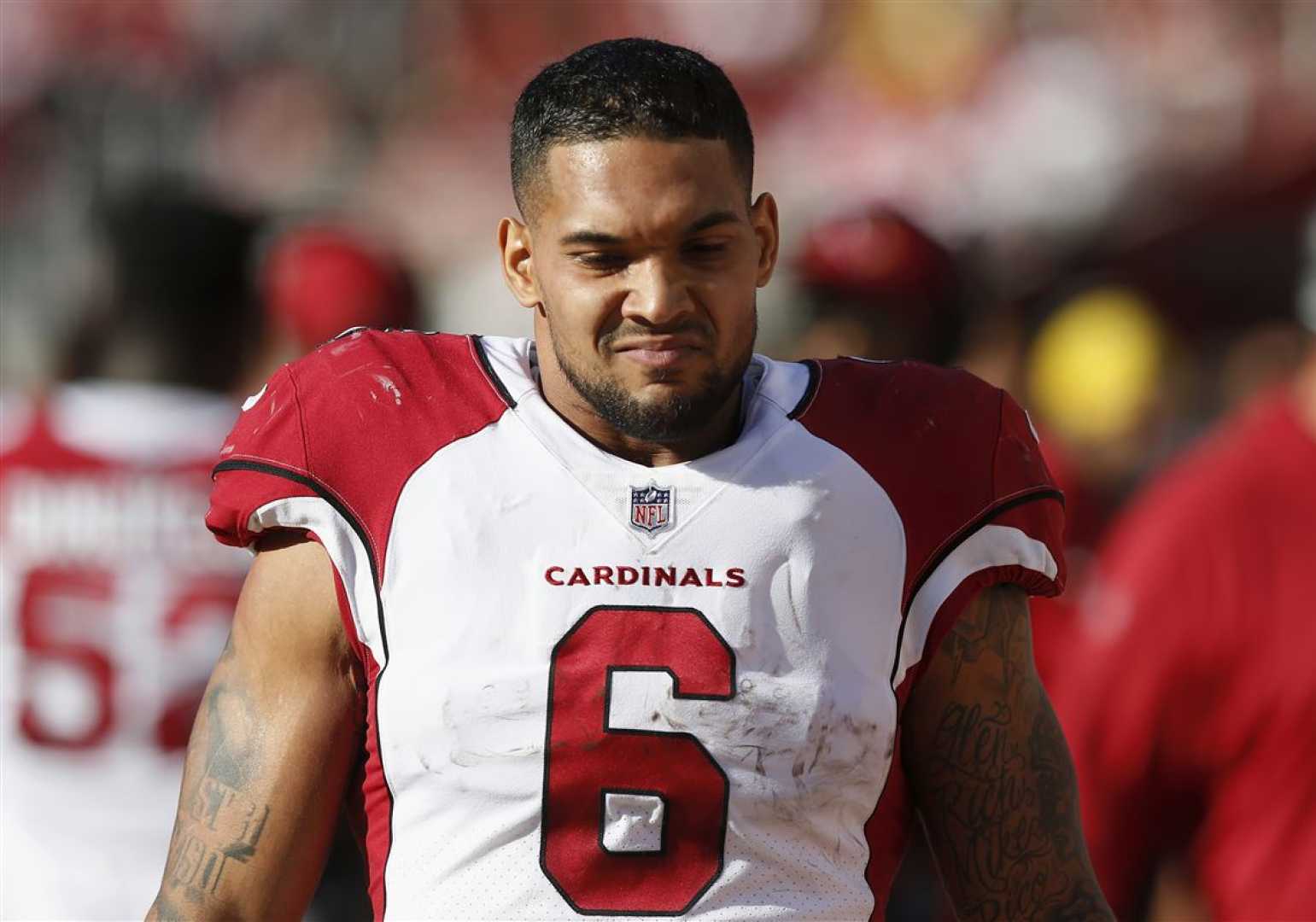 James Conner Arizona Cardinals