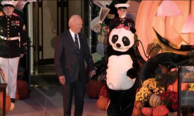 Jill Biden Giant Panda Costume White House Halloween