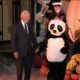 Jill Biden Giant Panda Costume White House Halloween