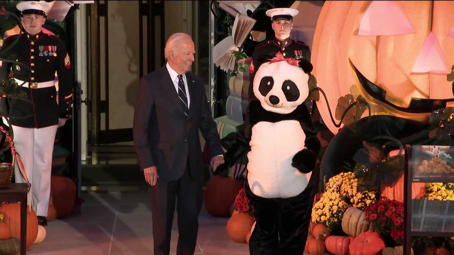 Jill Biden Giant Panda Costume White House Halloween