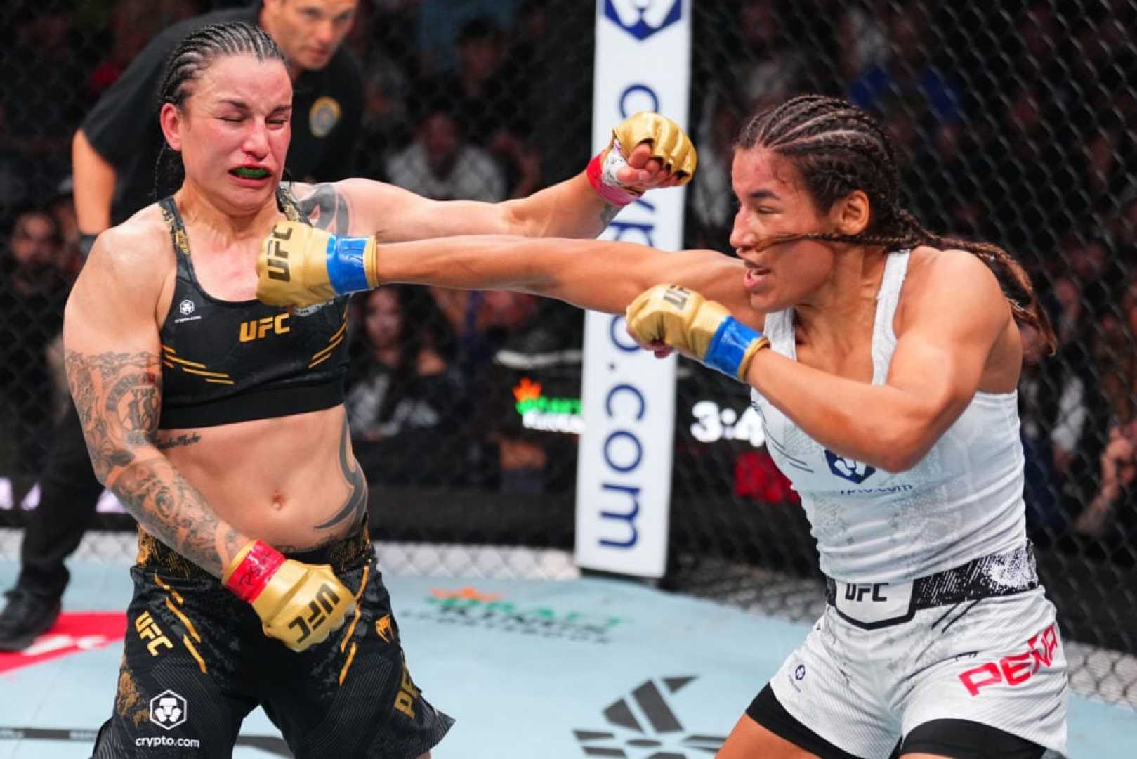 Julianna Peña Raquel Pennington Ufc 307