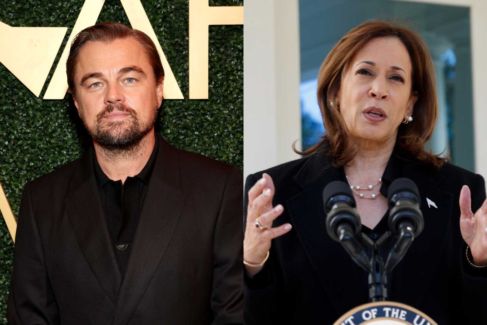 Leonardo Dicaprio Endorsing Kamala Harris