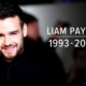 Liam Payne Tribute