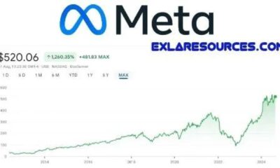 Meta Platforms Inc. Stock Price Graph October 2024