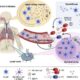 Mucosal Vaccine Covid 19