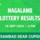 Nagaland Lottery Results Announcement