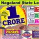 Nagaland State Lottery Draw