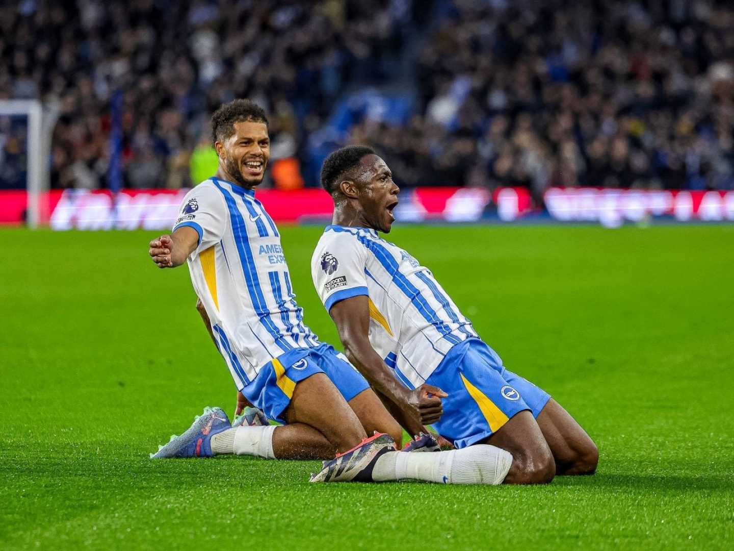 Newcastle United Vs Brighton & Hove Albion Match